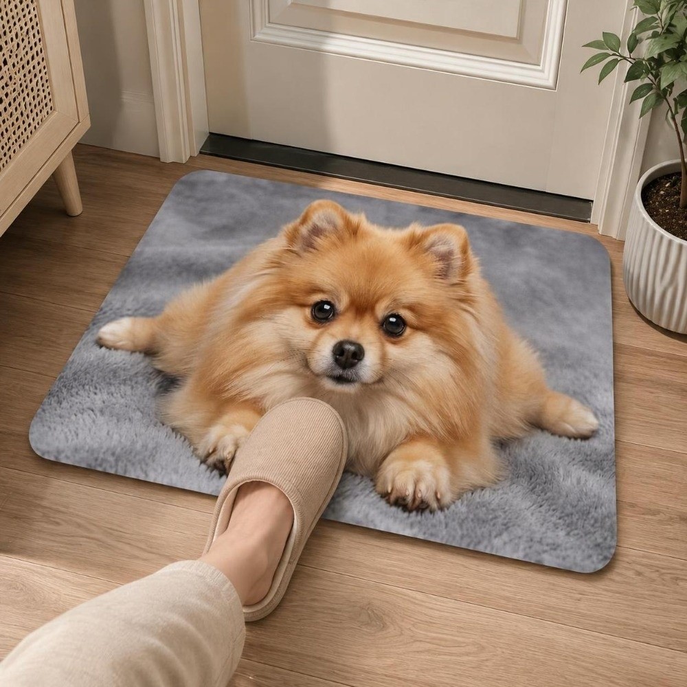 Durable Diatomite Dog Pattern  - Quick Dry Diatomite Bath Mat recension och pris
